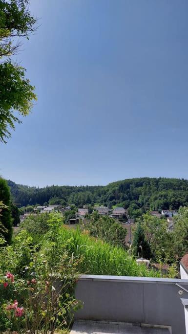Apartment Talblick Kandern Exteriör bild